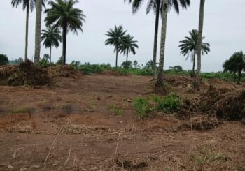 best land